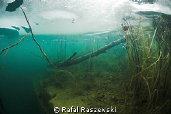 ice diving by Rafal Raszewski 